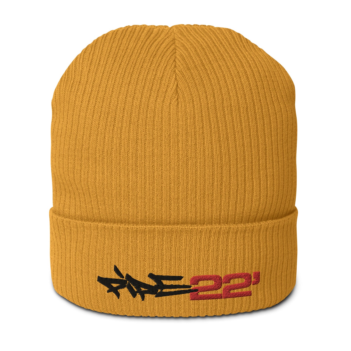 Pipe 22' Organic beanie